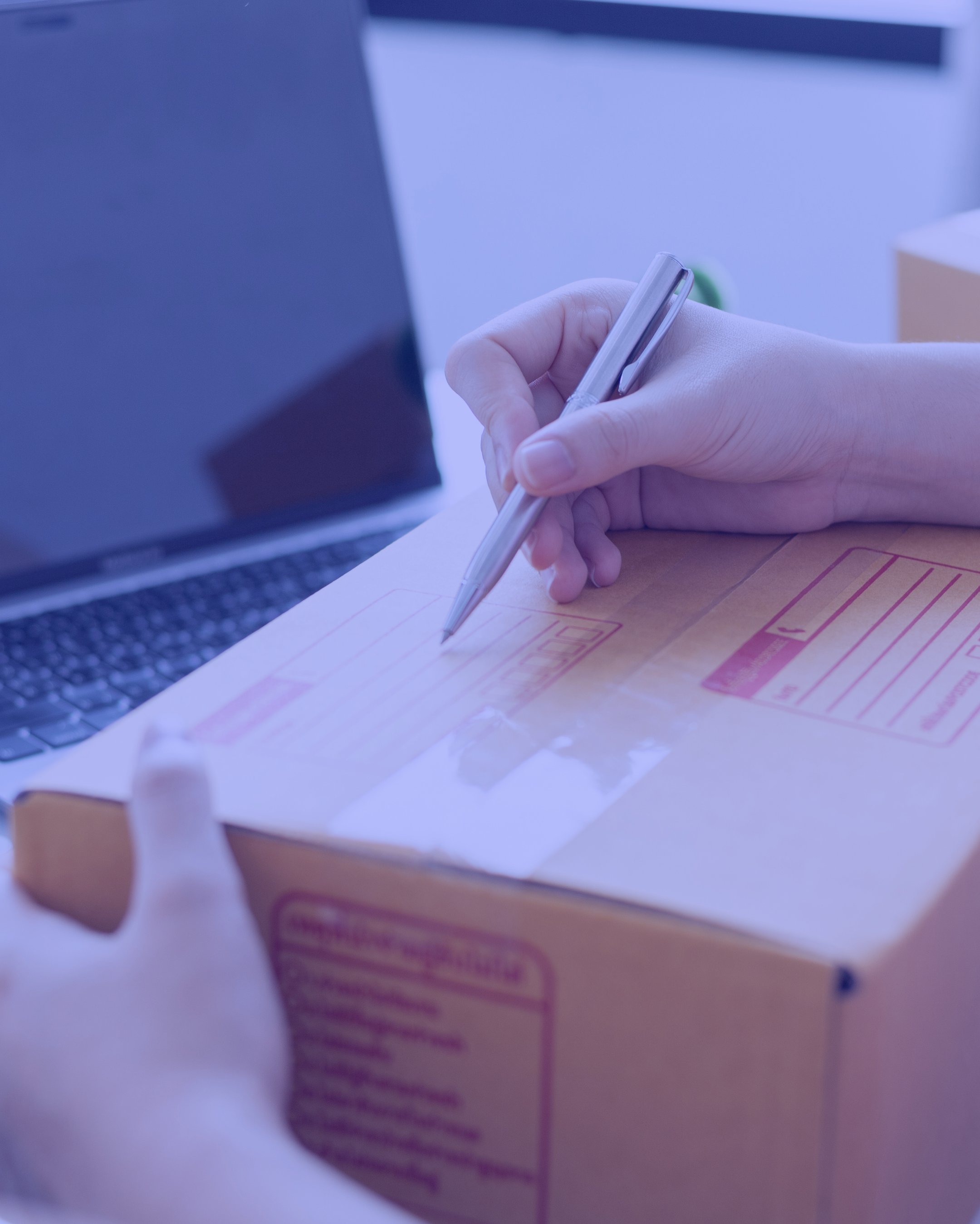 Ready-to-Ship BiY Asia